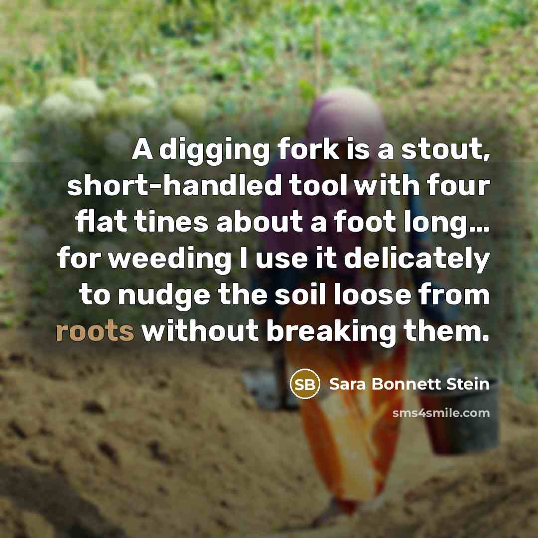 “A digging fork is a stout, short-handled tool with four flat tines about a foot long… for weeding I use it delicately to nudge the soil loose from roots without breaking them.” quote by Sara Bonnett Stein