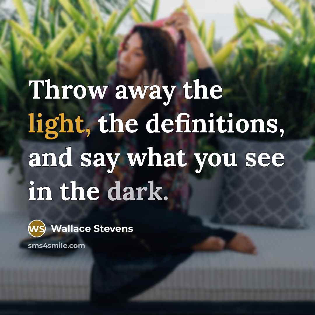 “Throw away the light, the definitions, and say what you see in the dark.” quote by Wallace Stevens