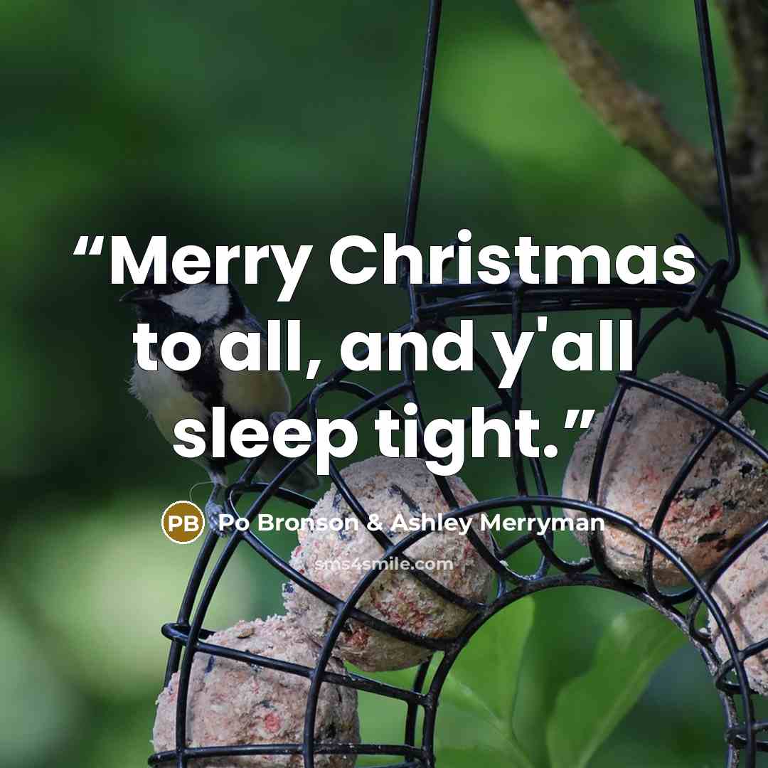“Merry Christmas to all, and y'all sleep tight.” quote by Po Bronson & Ashley Merryman