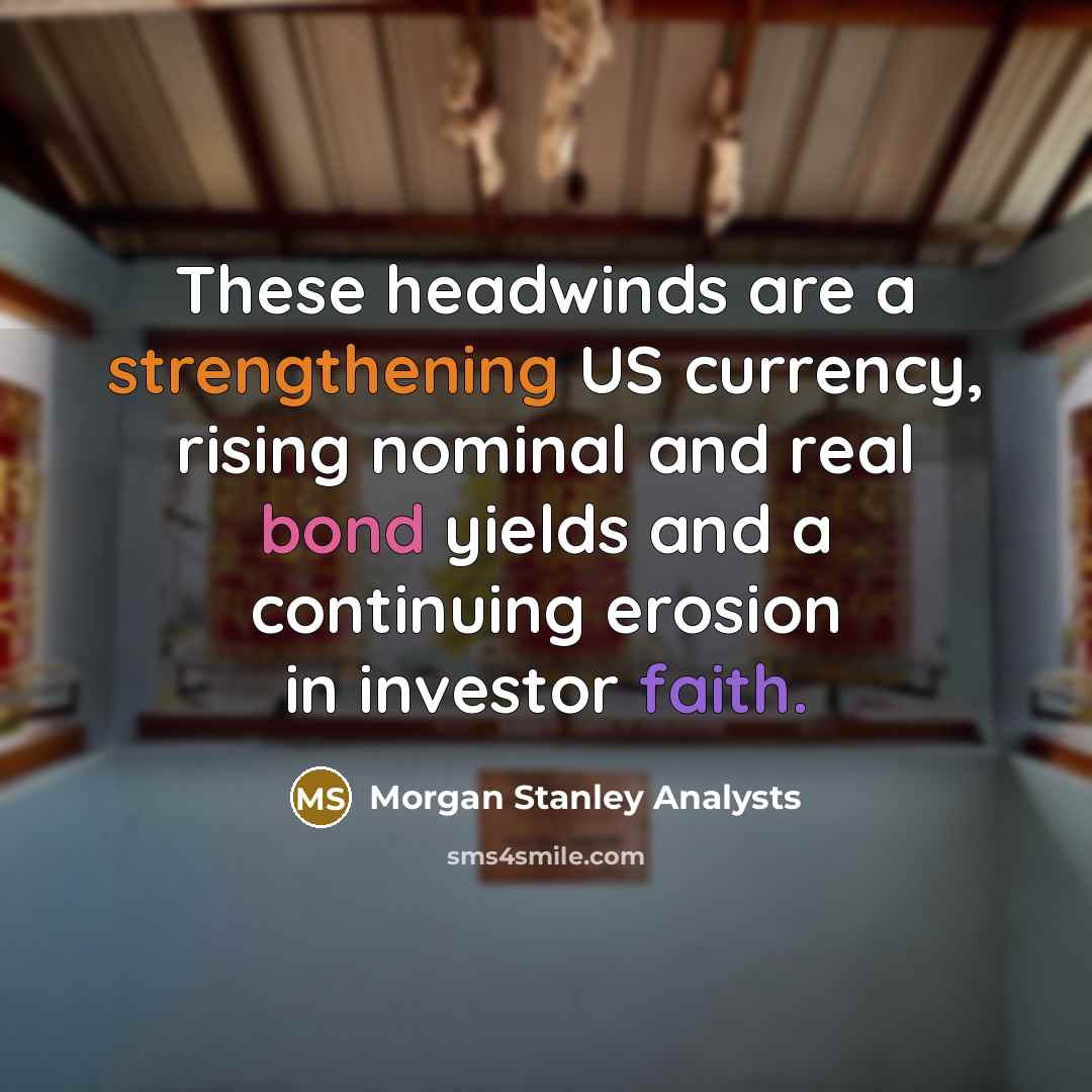 “These headwinds are a strengthening US currency, rising nominal and real bond yields and a continuing erosion in investor faith.” quote by Morgan Stanley Analysts