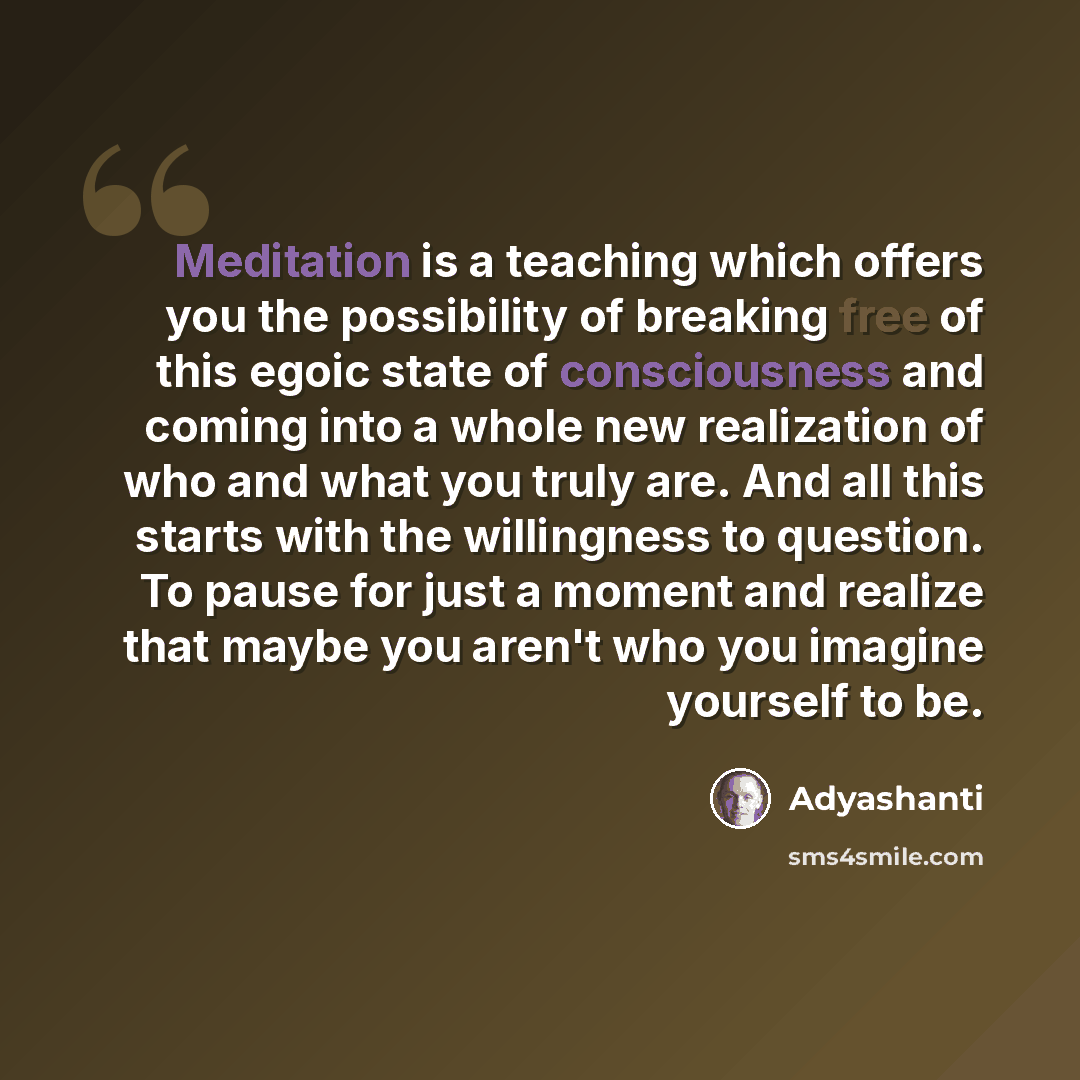 “Meditation is a teaching which offers you the possibility of breaking free of this egoic state of consciousness and coming into a whole new realization of who and what you truly are. And all this starts with the willingness to question. To pause for just a moment and realize that maybe you aren't…” quote by Adyashanti