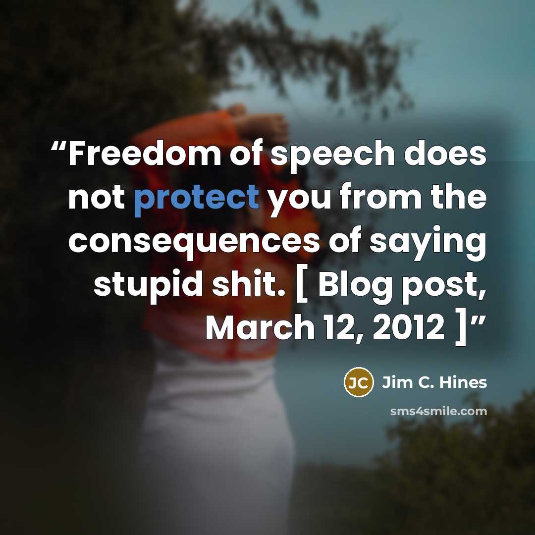 “Freedom of speech does not protect you from the consequences of saying stupid shit. [ Blog post, March 12, 2012 ]” quote by Jim C. Hines