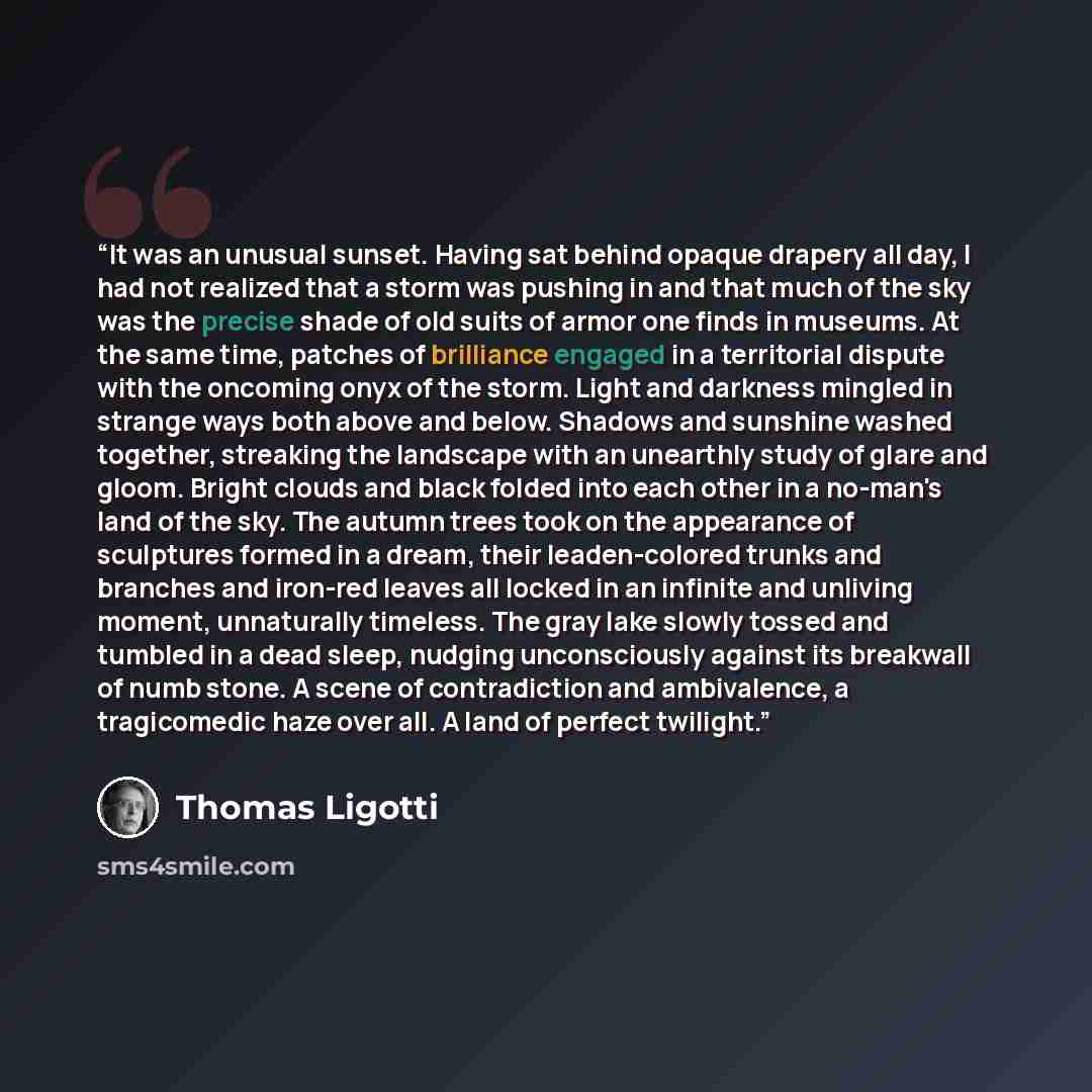“It was an unusual sunset. Having sat behind opaque drapery all day, I had not realized that a storm was pushing in and that much of the sky was the precise shade of old suits of armor one finds in museums. At the same time, patches of brilliance engaged in a territorial dispute with the oncoming…” quote by Thomas Ligotti