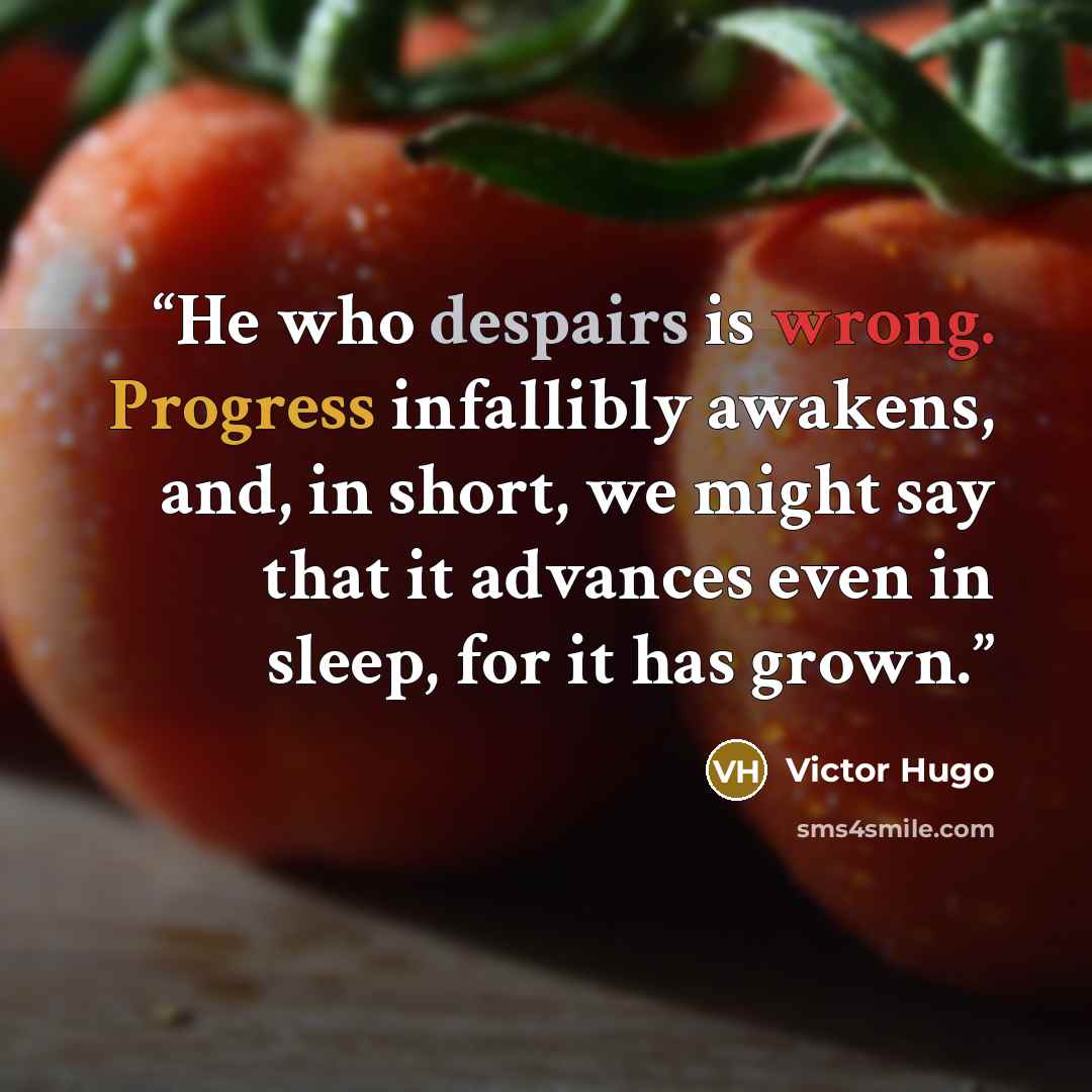 “He who despairs is wrong. Progress infallibly awakens, and, in short, we might say that it advances even in sleep, for it has grown.” quote by Victor Hugo