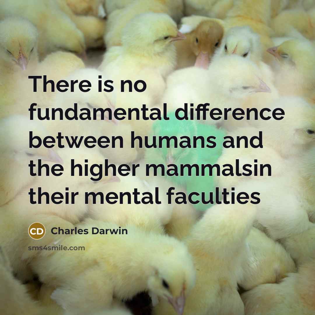 “There is no fundamental difference between humans and the higher mammalsin their mental faculties” quote by Charles Darwin