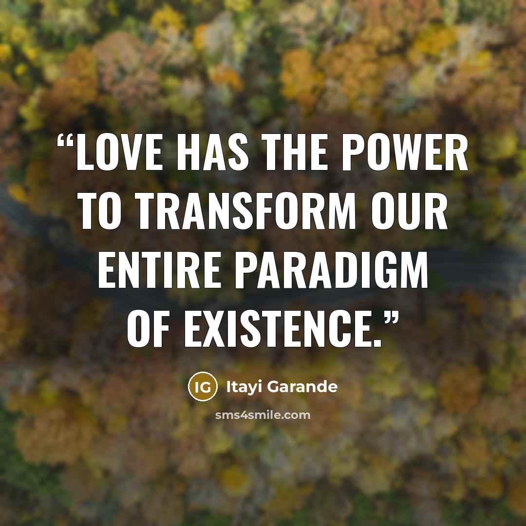 “Love has the power to transform our entire paradigm of existence.” quote by Itayi Garande