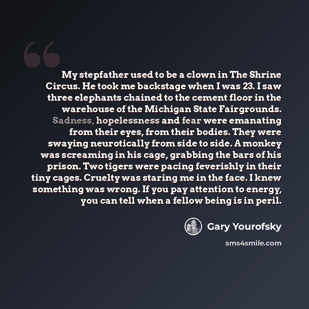 “My stepfather used to be a clown in The Shrine Circus. He took me backstage when I was 23. I saw three elephants chained to the cement floor in the warehouse of the Michigan State Fairgrounds. Sadness, hopelessness and fear were emanating from their eyes, from their bodies. They were swaying…” quote by Gary Yourofsky