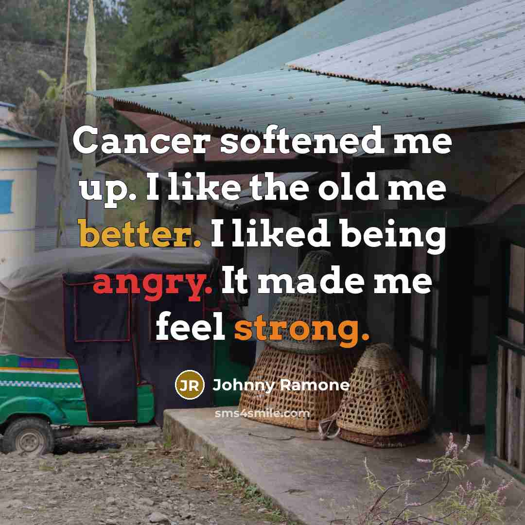 “Cancer softened me up. I like the old me better. I liked being angry. It made me feel strong.” quote by Johnny Ramone
