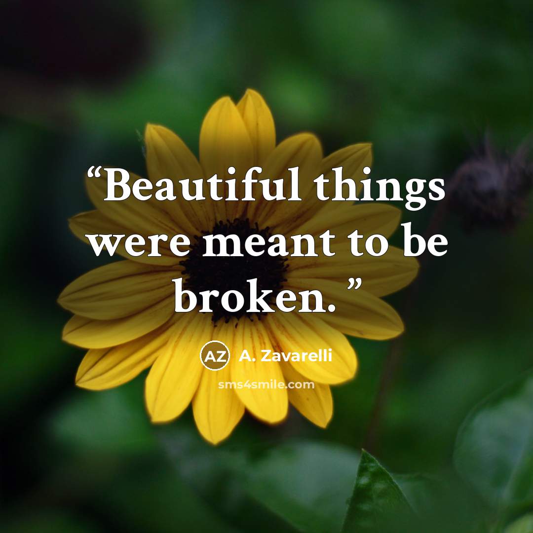 “Beautiful things were meant to be broken.” quote by A. Zavarelli