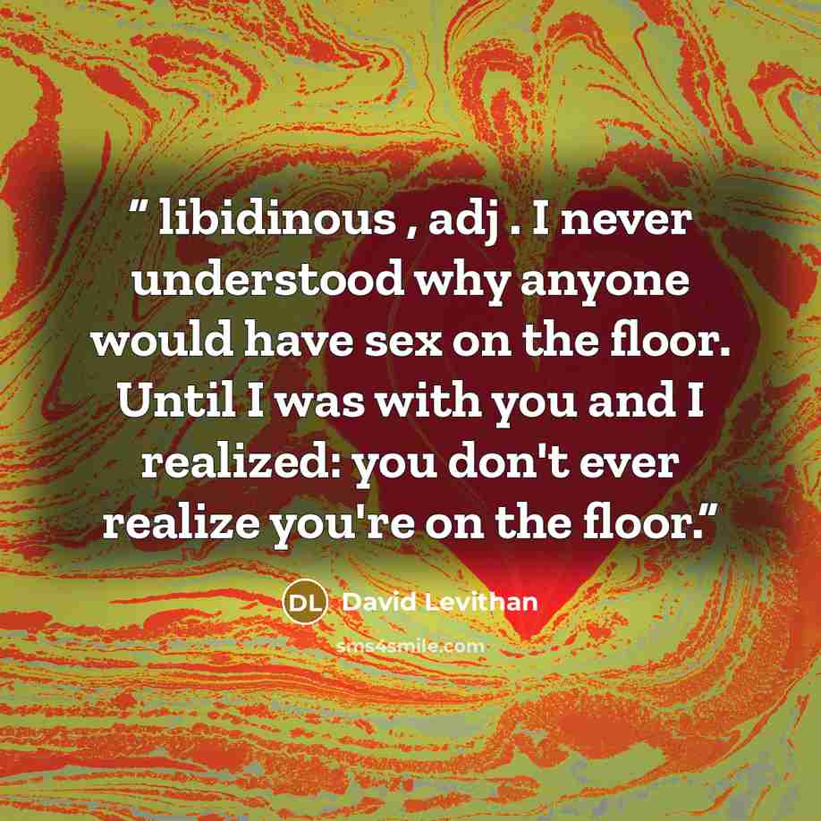 “libidinous , adj . I never understood why anyone would have sex on the floor. Until I was with you and I realized: you don't ever realize you're on the floor.” quote by David Levithan