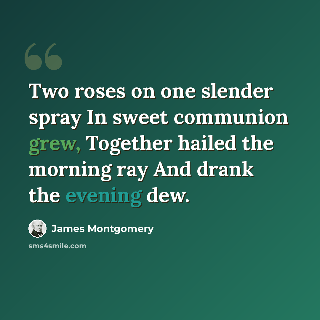 “Two roses on one slender spray In sweet communion grew, Together hailed the morning ray And drank the evening dew.” quote by James Montgomery