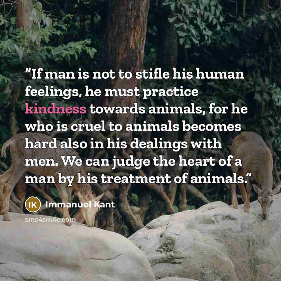 “If man is not to stifle his human feelings, he must practice kindness towards animals, for he who is cruel to animals becomes hard also in his dealings with men. We can judge the heart of a man by his treatment of animals.” quote by Immanuel Kant