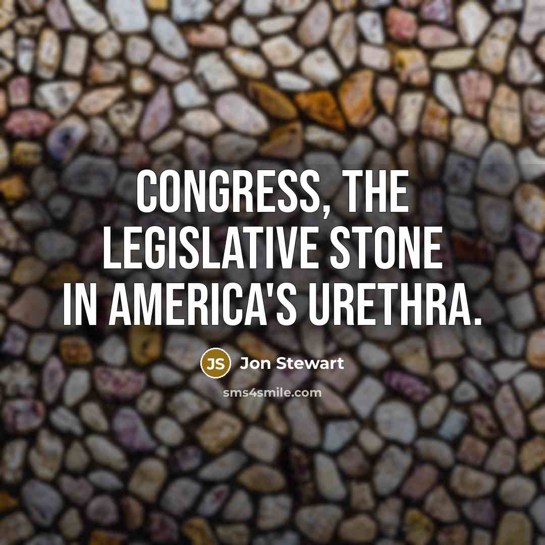 “Congress, the legislative stone in America's urethra.” quote by Jon Stewart