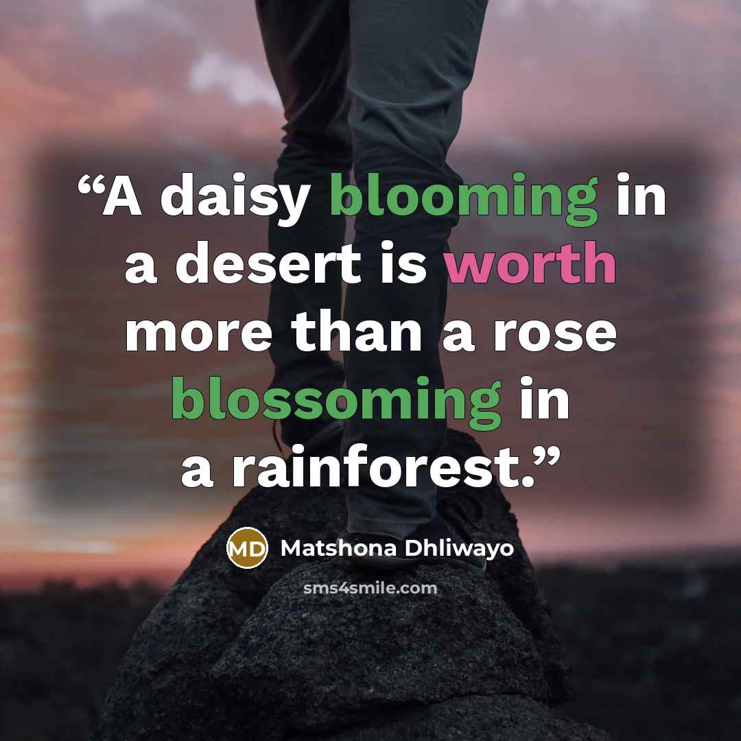 “A daisy blooming in a desert is worth more than a rose blossoming in a rainforest.” quote by Matshona Dhliwayo