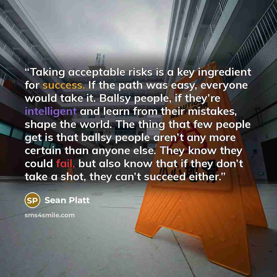 “Taking acceptable risks is a key ingredient for success. If the path was easy, everyone would take it. Ballsy people, if they’re intelligent and learn from their mistakes, shape the world. The thing that few people get is that ballsy people aren’t any more certain than anyone else. They know they…” quote by Sean Platt