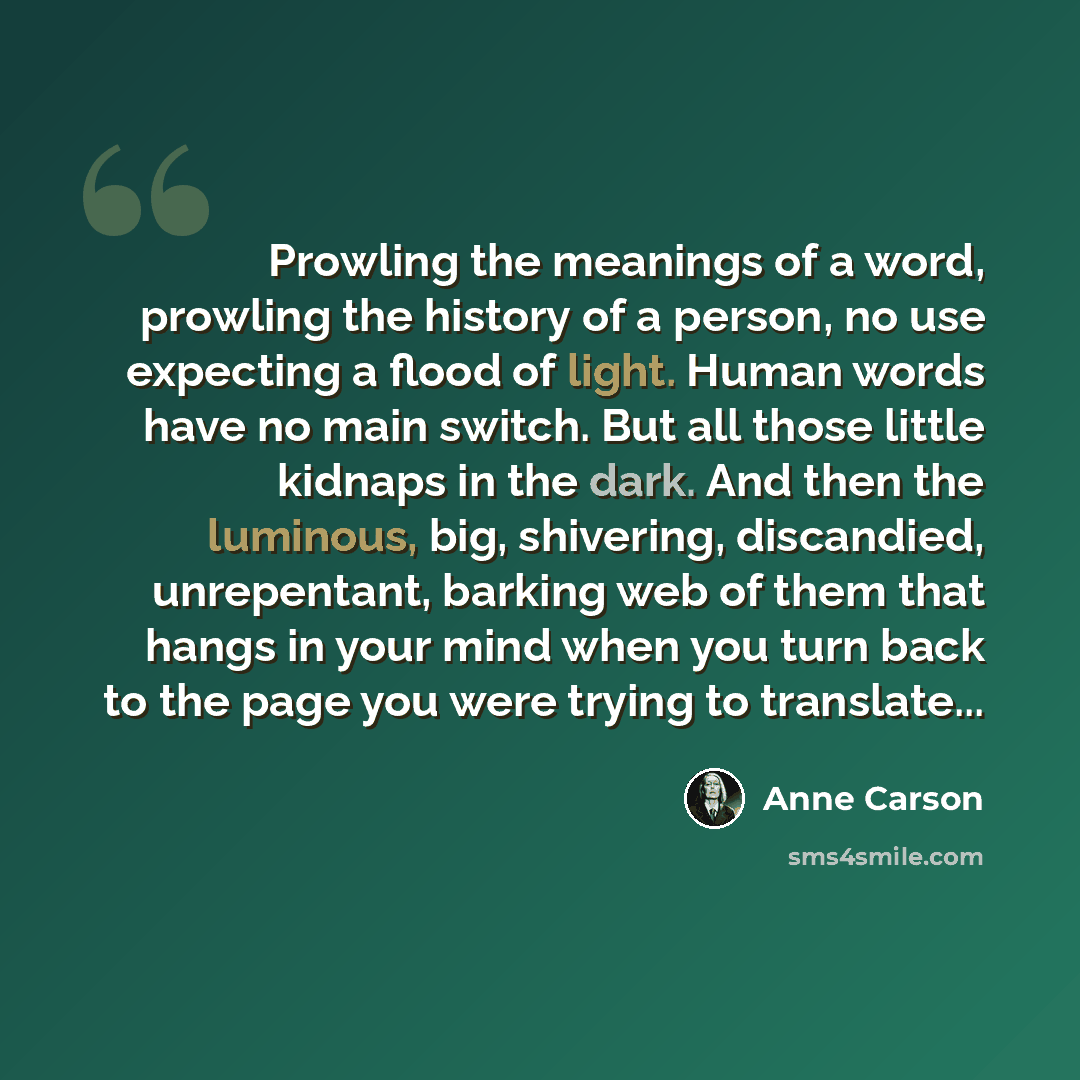 “Prowling the meanings of a word, prowling the history of a person, no use expecting a flood of light. Human words have no main switch. But all those little kidnaps in the dark. And then the luminous, big, shivering, discandied, unrepentant, barking web of them that hangs in your mind when you turn…” quote by Anne Carson
