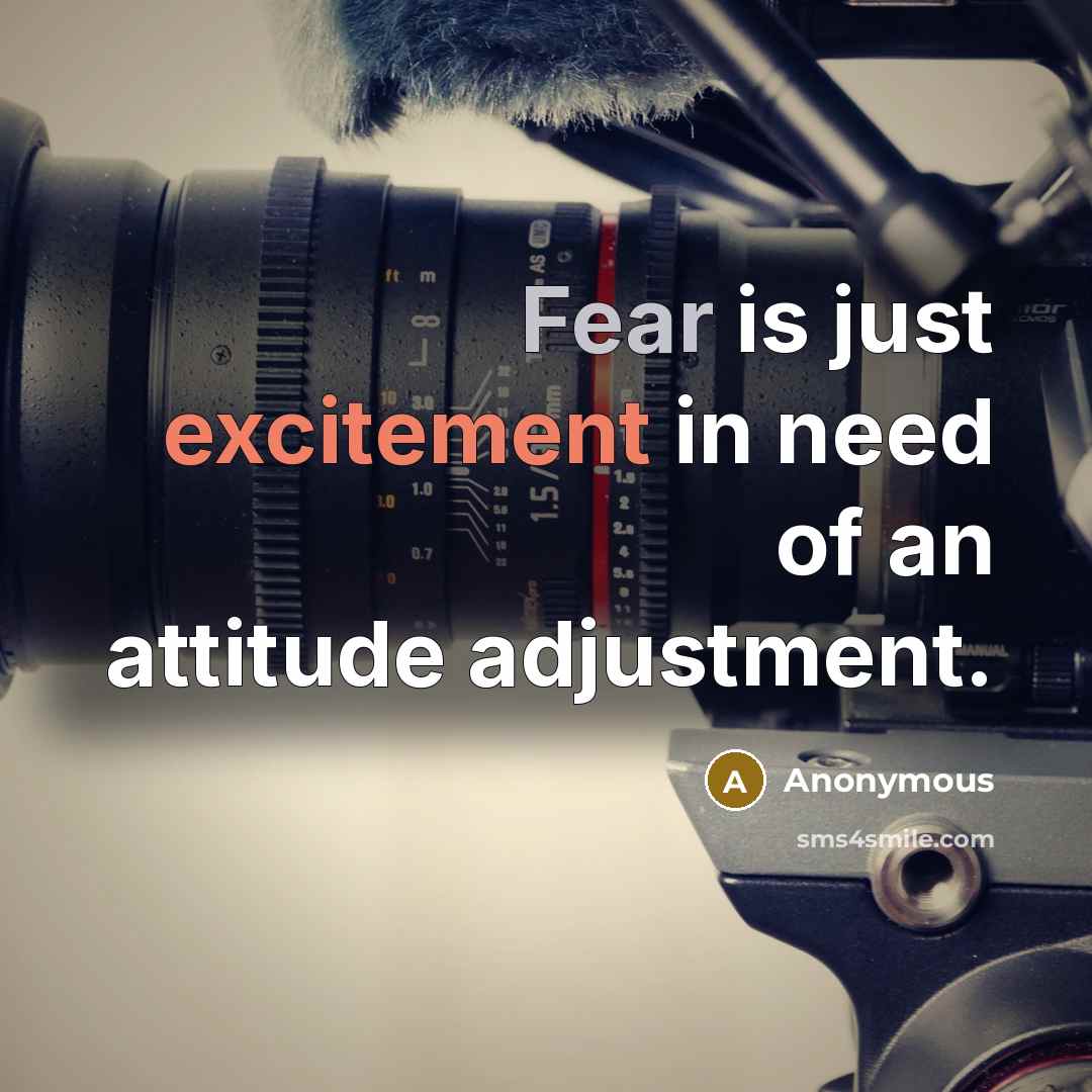 “Fear is just excitement in need of an attitude adjustment.” quote by Anonymous