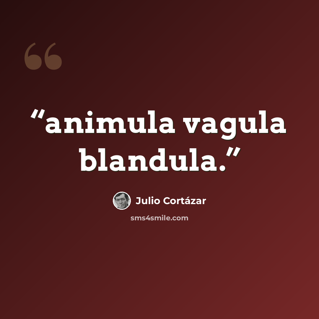 “animula vagula blandula.” quote by Julio Cortázar