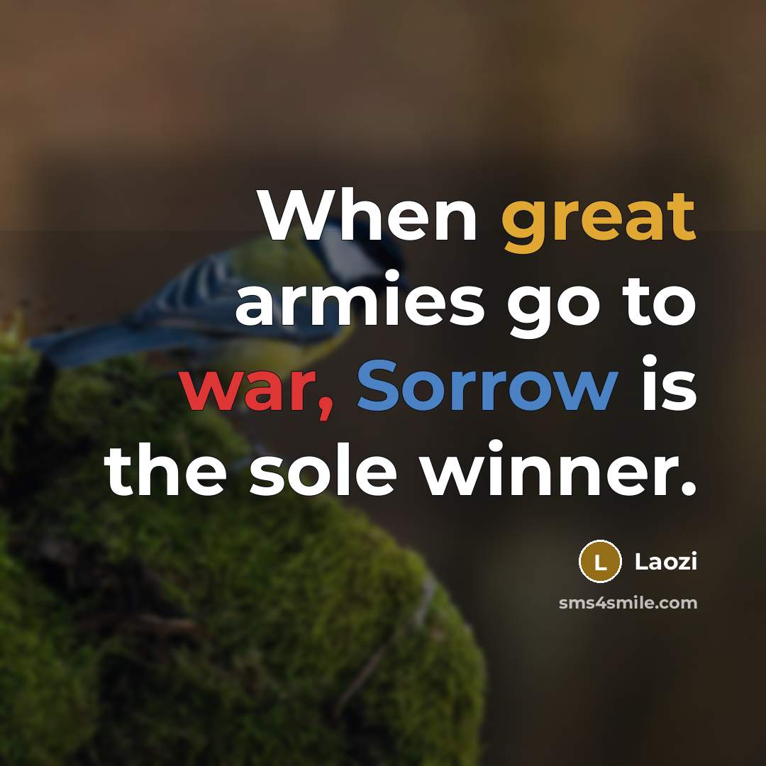 “When great armies go to war, Sorrow is the sole winner.” quote by Laozi