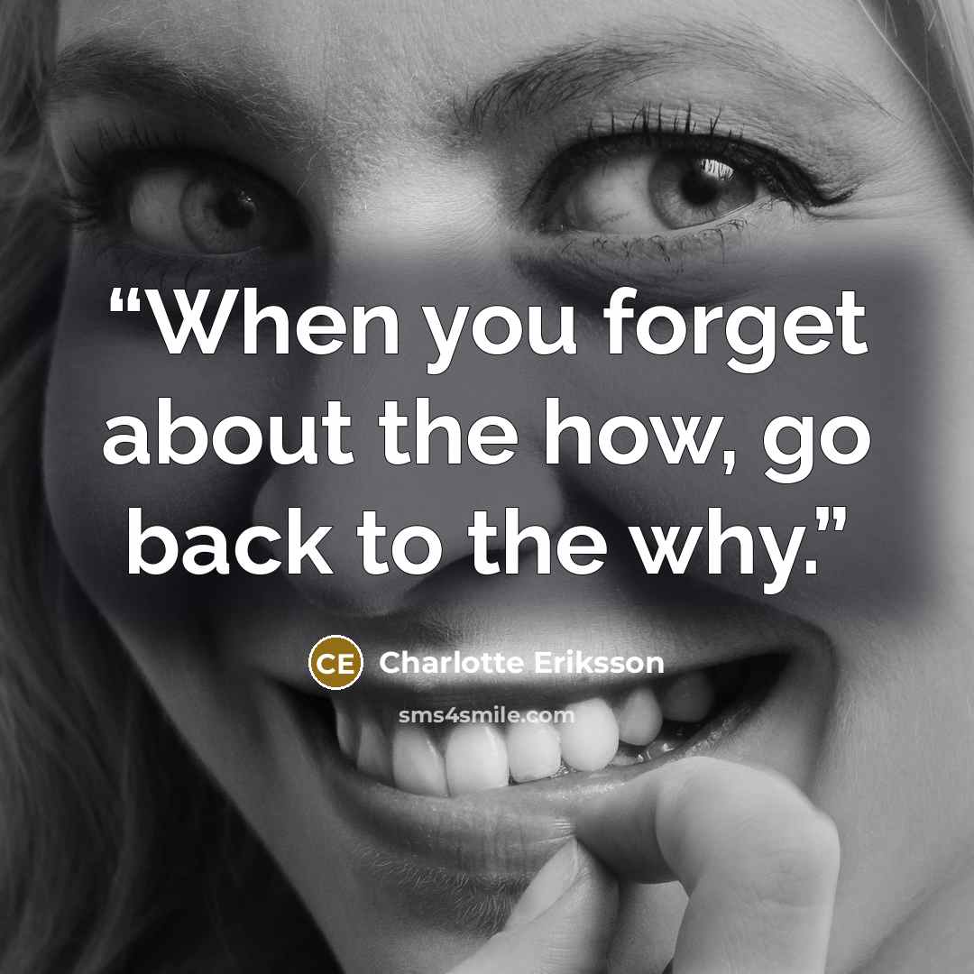 “When you forget about the how, go back to the why.” quote by Charlotte Eriksson