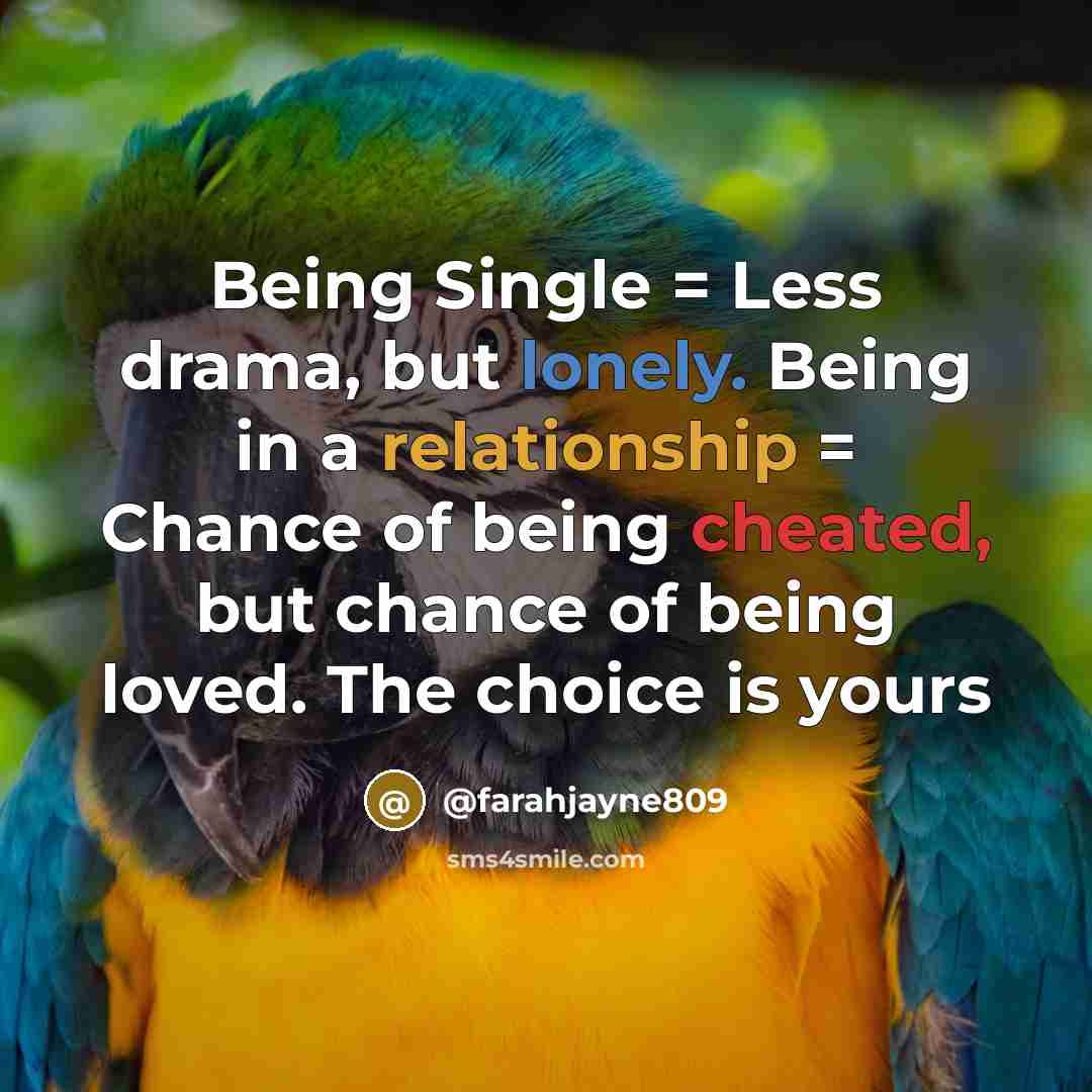“Being Single = Less drama, but lonely. Being in a relationship = Chance of being cheated, but chance of being loved. The choice is yours” quote by @farahjayne809