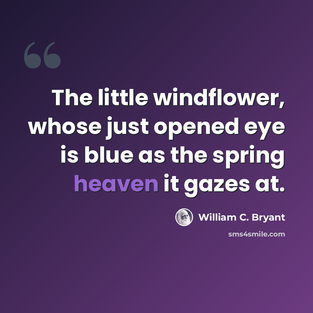 “The little windflower, whose just opened eye is blue as the spring heaven it gazes at.” quote by William C. Bryant