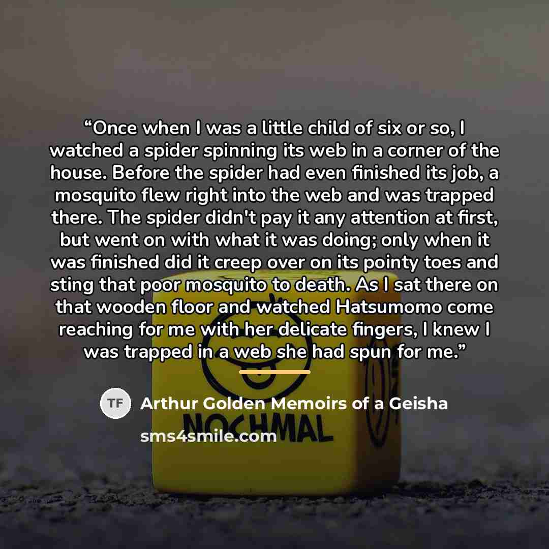 “Once when I was a little child of six or so, I watched a spider spinning its web in a corner of the house. Before the spider had even finished its job, a mosquito flew right into the web and was trapped there. The spider didn't pay it any attention at first, but went on with what it was doing…” quote by Arthur Golden Memoirs of a Geisha