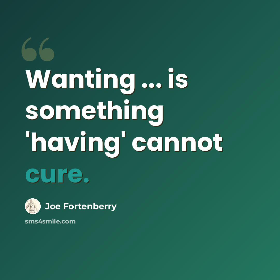 “Wanting ... is something 'having' cannot cure.” quote by Joe Fortenberry