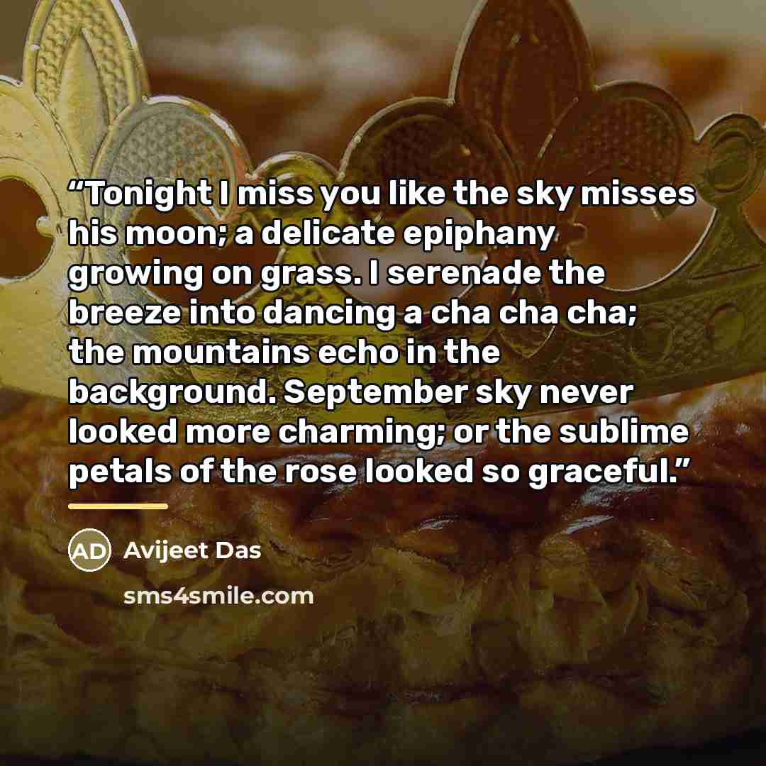 “Tonight I miss you like the sky misses his moon; a delicate epiphany growing on grass. I serenade the breeze into dancing a cha cha cha; the mountains echo in the background. September sky never looked more charming; or the sublime petals of the rose looked so graceful.” quote by Avijeet Das