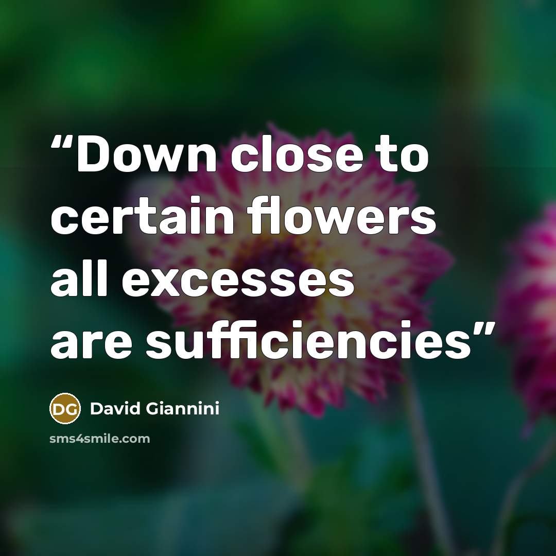 “Down close to certain flowers all excesses are sufficiencies” quote by David Giannini