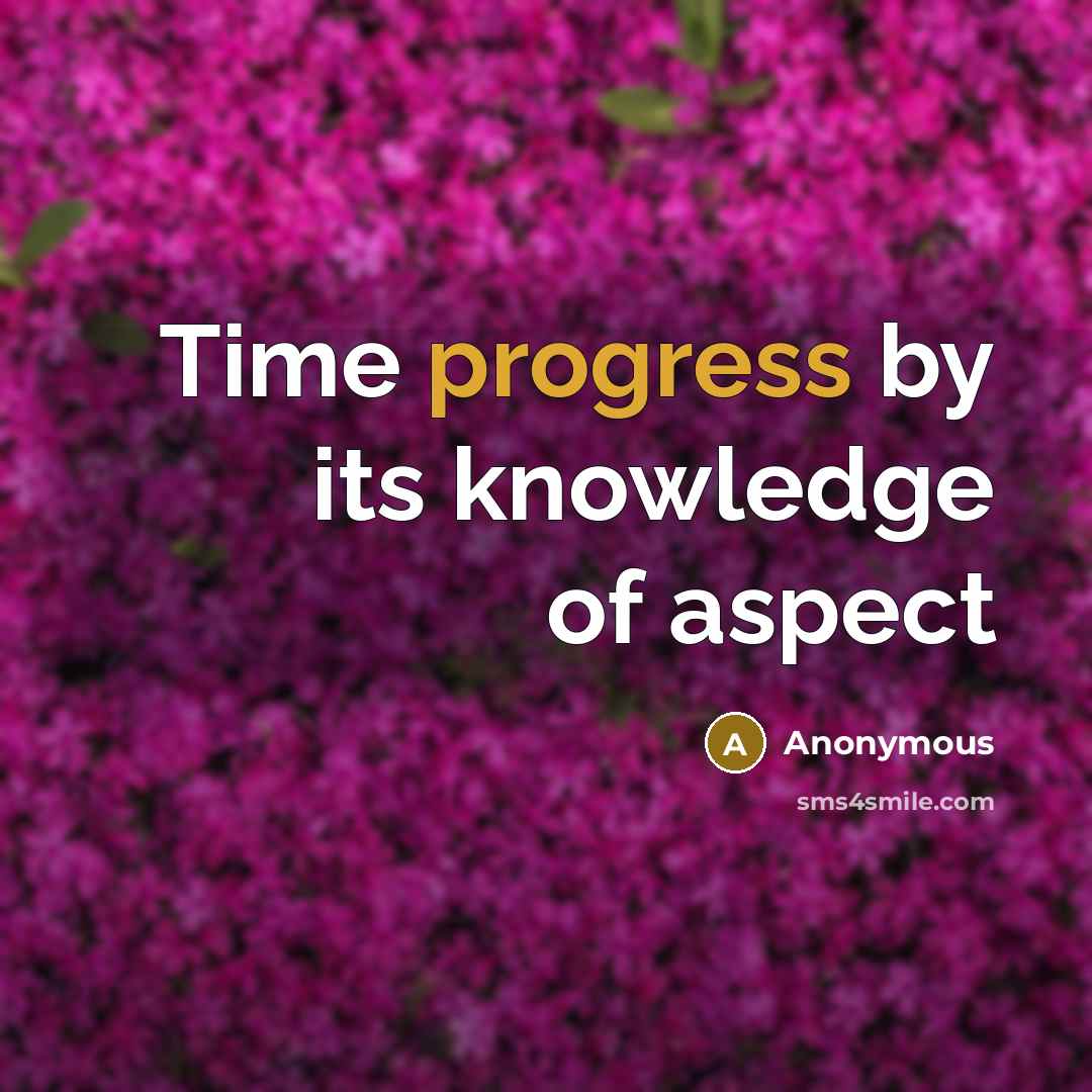 “Time progress by its knowledge of aspect” quote by Anonymous