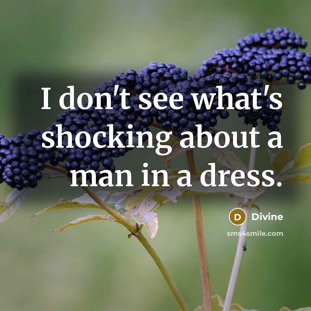 “I don't see what's shocking about a man in a dress.” quote by Divine
