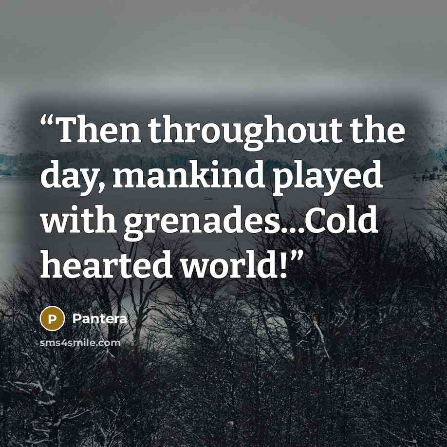 “Then throughout the day, mankind played with grenades...Cold hearted world!” quote by Pantera