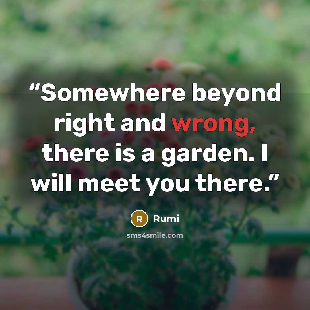 “Somewhere beyond right and wrong, there is a garden. I will meet you there.” quote by Rumi