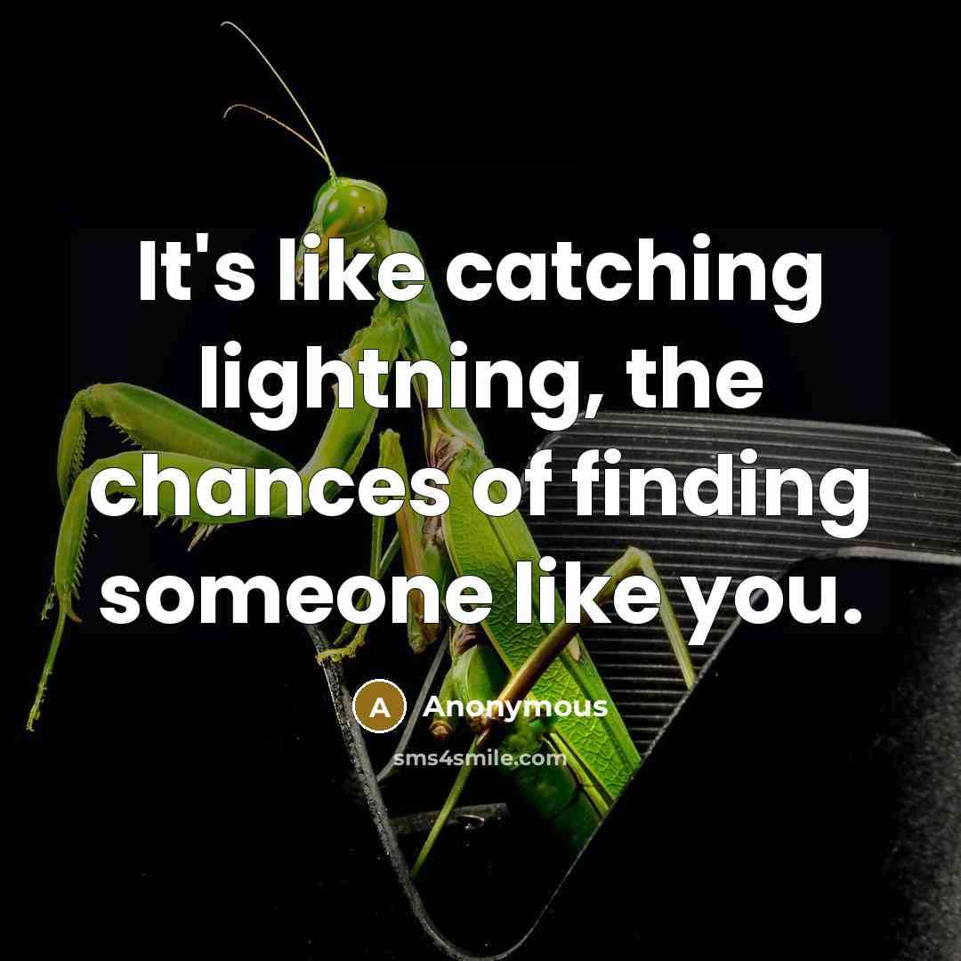 “It's like catching lightning, the chances of finding someone like you.” quote by Anonymous