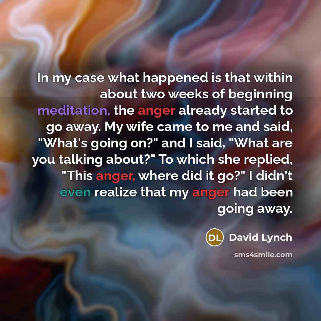 “In my case what happened is that within about two weeks of beginning meditation, the anger already started to go away. My wife came to me and said, "What's going on?" and I said, "What are you talking about?" To which she replied, "This anger, where did it go?" I didn't even realize that my anger…” quote by David Lynch