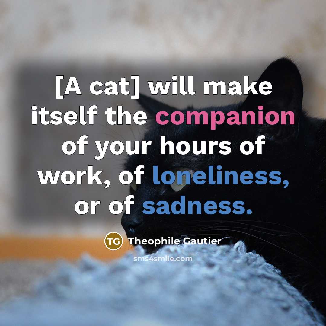 “[A cat] will make itself the companion of your hours of work, of loneliness, or of sadness.” quote by Theophile Gautier