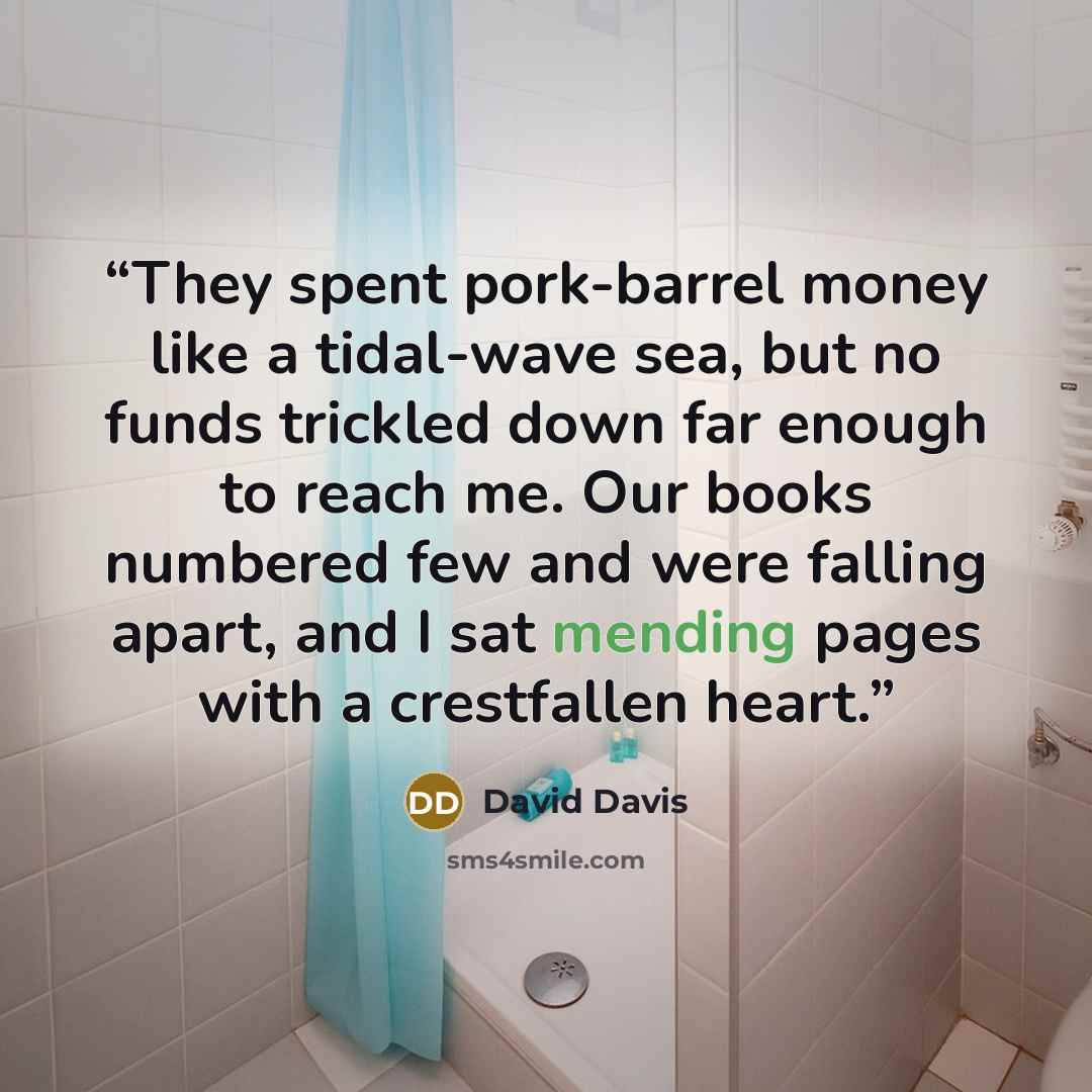 “They spent pork-barrel money like a tidal-wave sea, but no funds trickled down far enough to reach me. Our books numbered few and were falling apart, and I sat mending pages with a crestfallen heart.” quote by David Davis