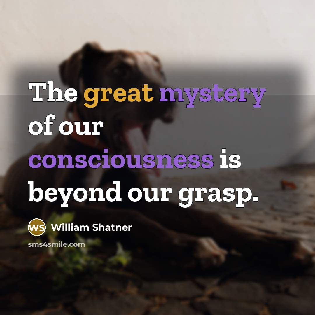 “The great mystery of our consciousness is beyond our grasp.” quote by William Shatner