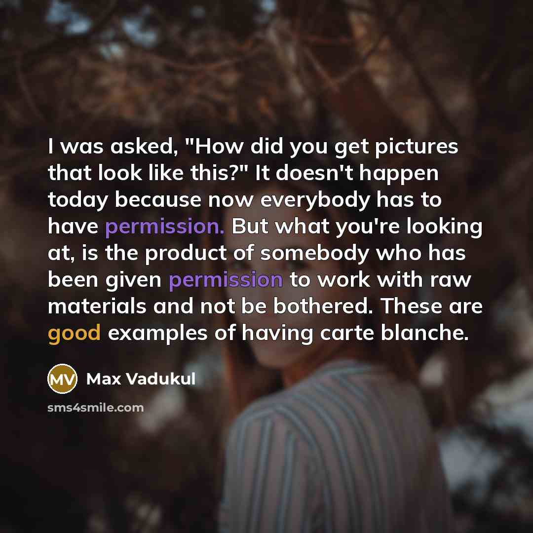 “I was asked, "How did you get pictures that look like this?" It doesn't happen today because now everybody has to have permission. But what you're looking at, is the product of somebody who has been given permission to work with raw materials and not be bothered. These are good examples of having…” quote by Max Vadukul