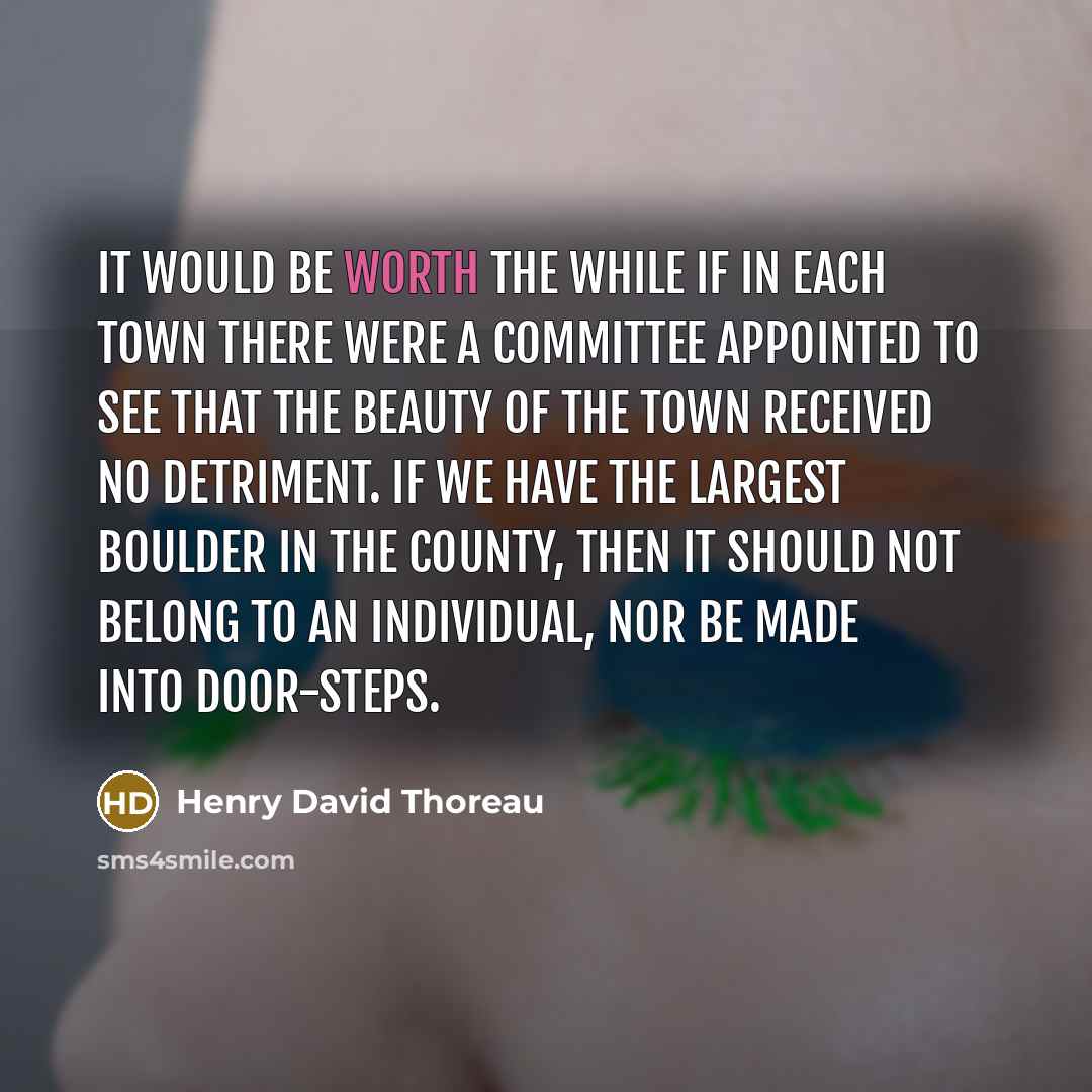“It would be worth the while if in each town there were a committee appointed to see that the beauty of the town received no detriment. If we have the largest boulder in the county, then it should not belong to an individual, nor be made into door-steps.” quote by Henry David Thoreau