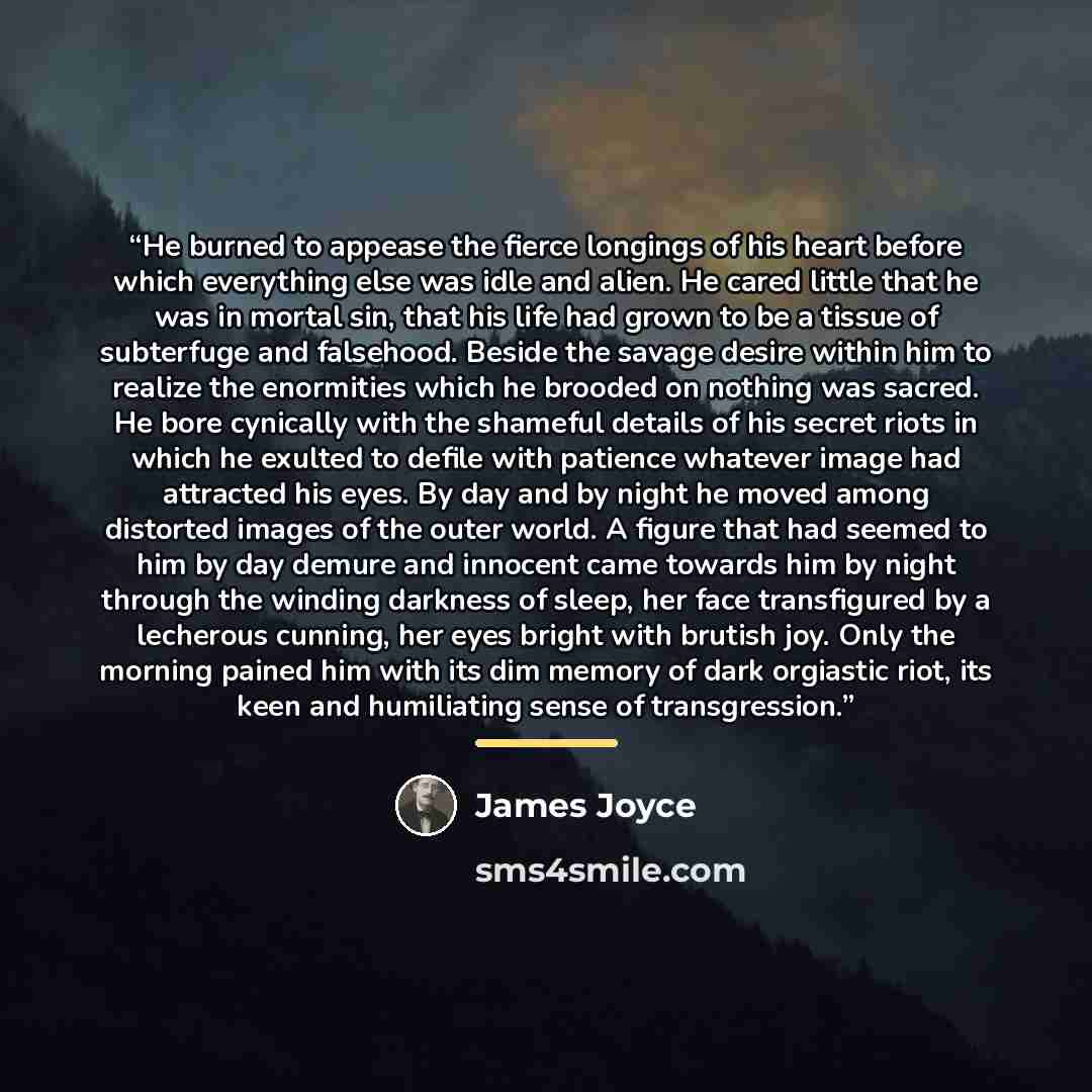 “He burned to appease the fierce longings of his heart before which everything else was idle and alien. He cared little that he was in mortal sin, that his life had grown to be a tissue of subterfuge and falsehood. Beside the savage desire within him to realize the enormities which he brooded on…” quote by James Joyce