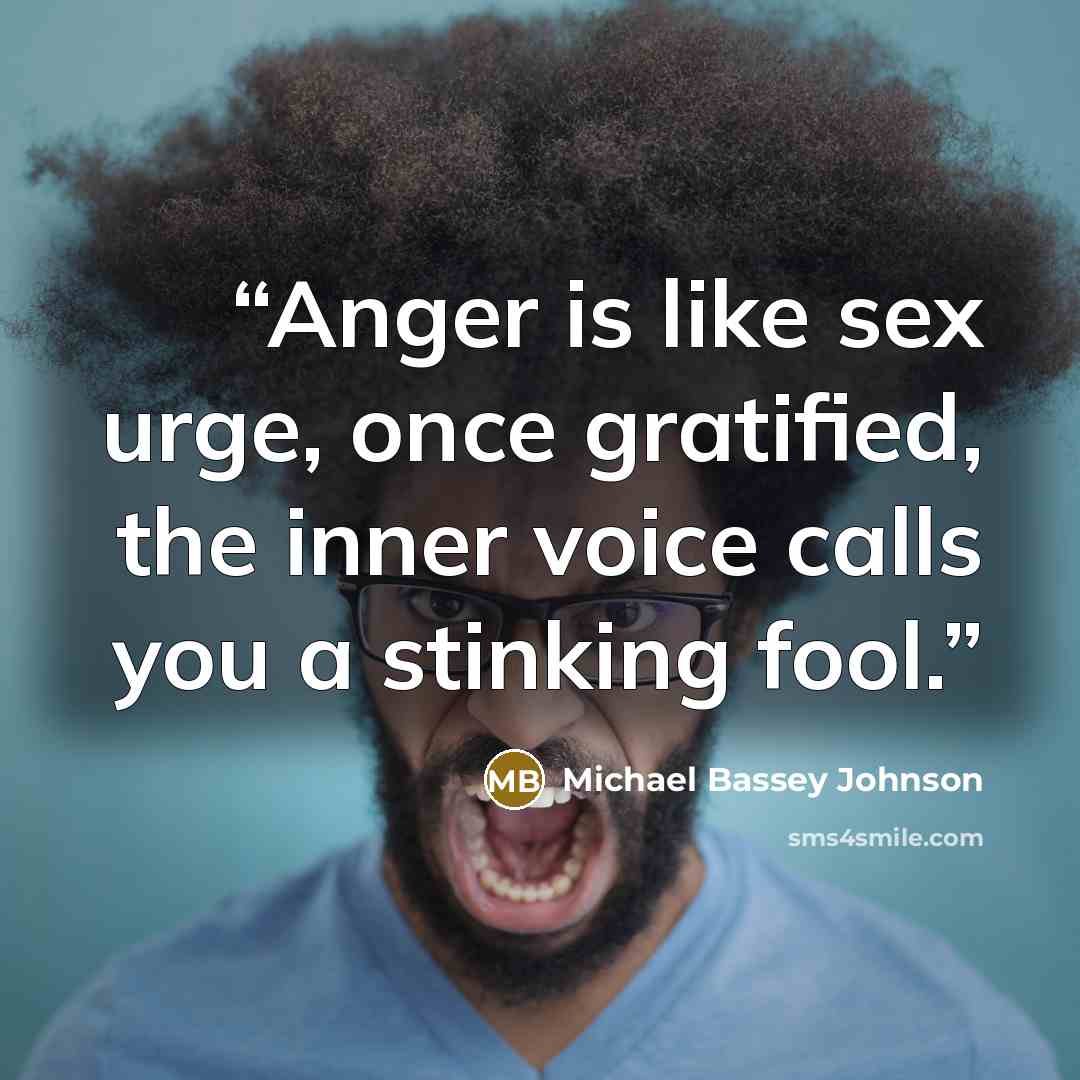 “Anger is like sex urge, once gratified, the inner voice calls you a stinking fool.” quote by Michael Bassey Johnson