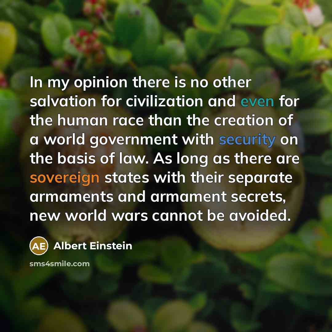 “In my opinion there is no other salvation for civilization and even for the human race than the creation of a world government with security on the basis of law. As long as there are sovereign states with their separate armaments and armament secrets, new world wars cannot be avoided.” quote by Albert Einstein