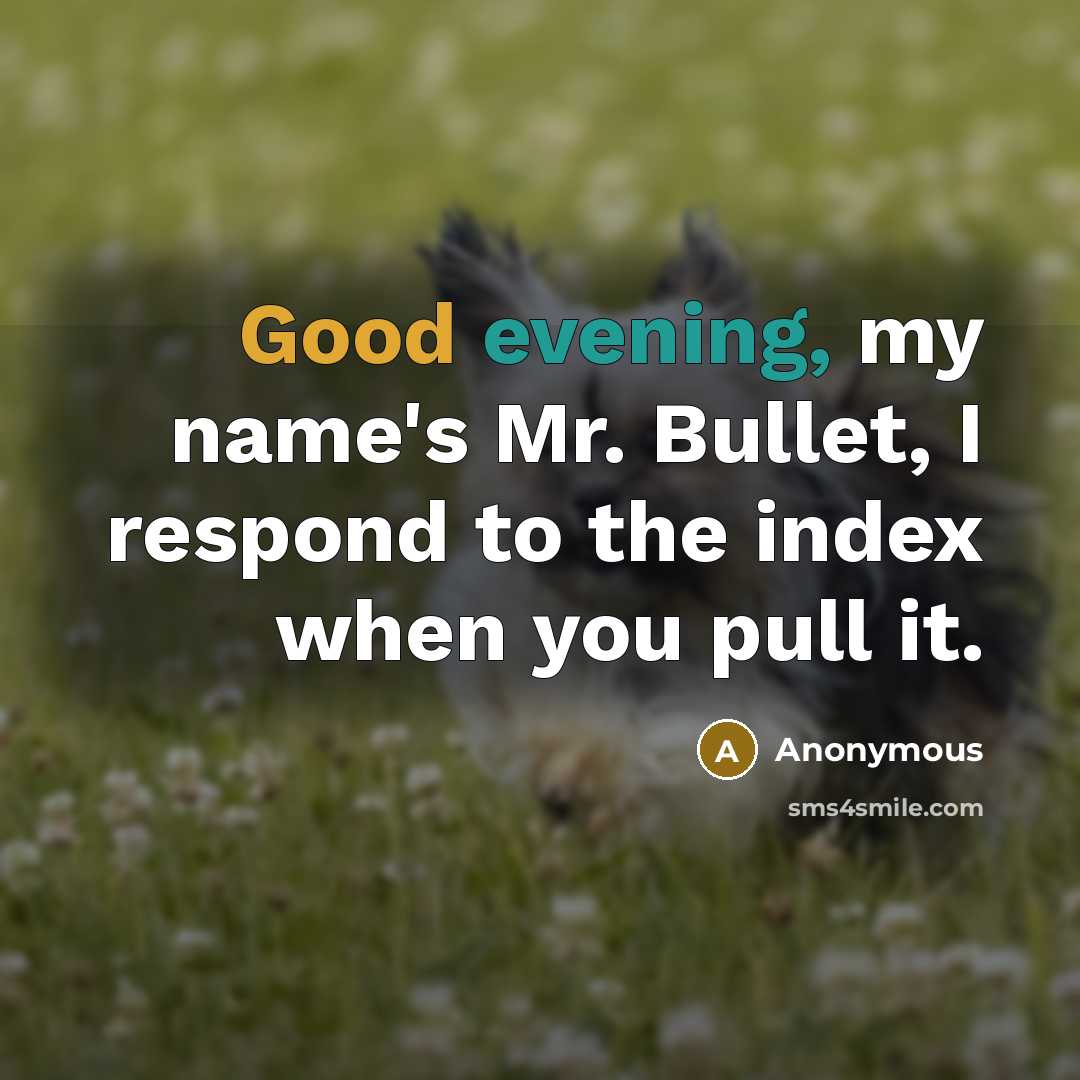 “Good evening, my name's Mr. Bullet, I respond to the index when you pull it.” quote by Anonymous