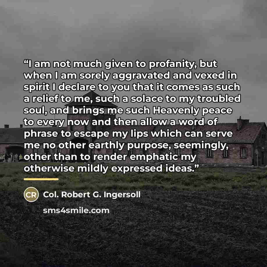 “I am not much given to profanity, but when I am sorely aggravated and vexed in spirit I declare to you that it comes as such a relief to me, such a solace to my troubled soul, and brings me such Heavenly peace to every now and then allow a word of phrase to escape my lips which can serve me no…” quote by Anonymous