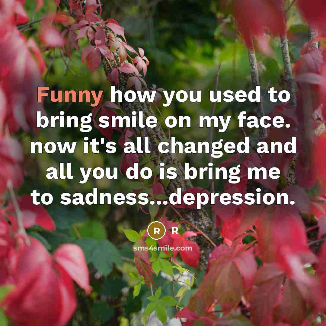“Funny how you used to bring smile on my face. now it's all changed and all you do is bring me to sadness...depression.” quote by R