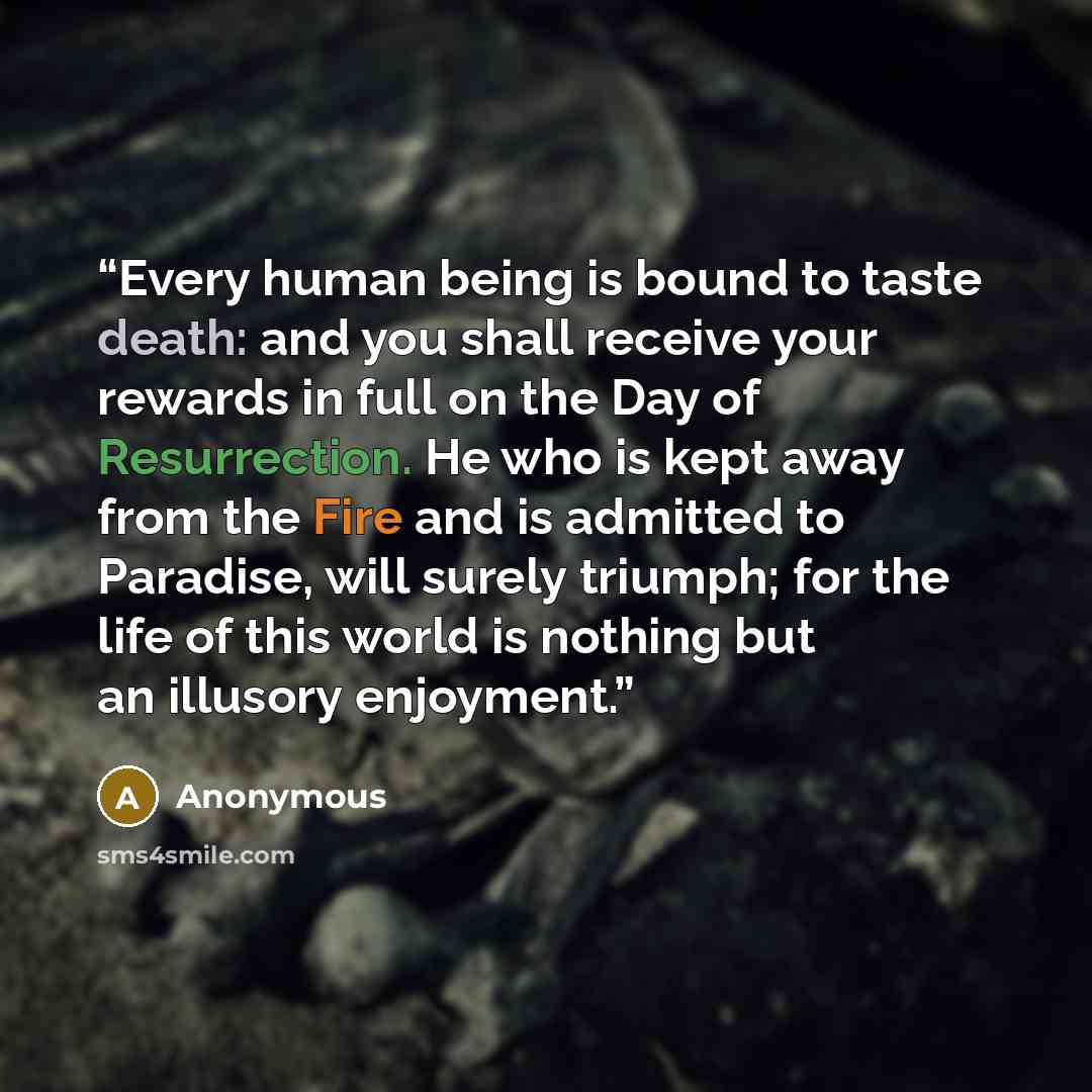 “Every human being is bound to taste death: and you shall receive your rewards in full on the Day of Resurrection. He who is kept away from the Fire and is admitted to Paradise, will surely triumph; for the life of this world is nothing but an illusory enjoyment.” quote by Anonymous
