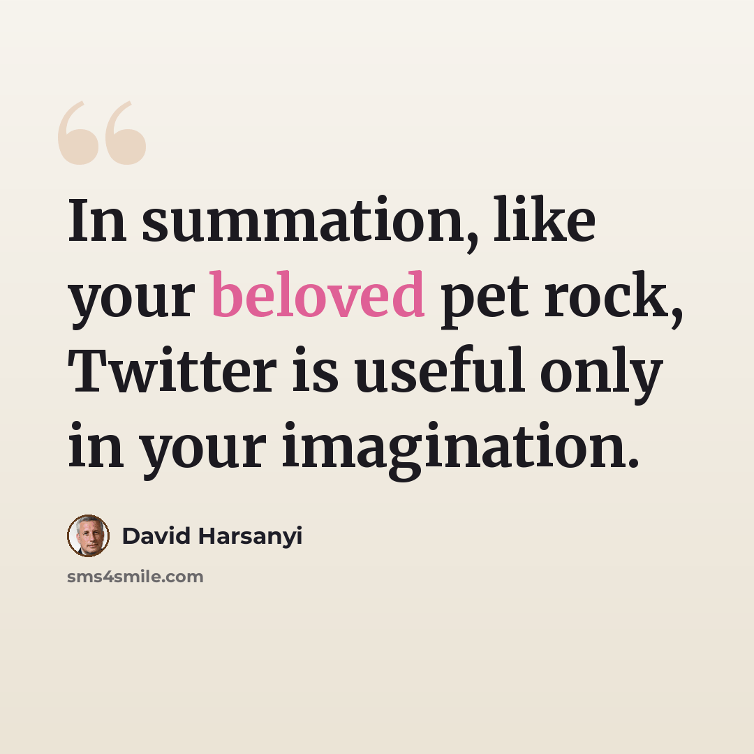 “In summation, like your beloved pet rock, Twitter is useful only in your imagination.” quote by David Harsanyi