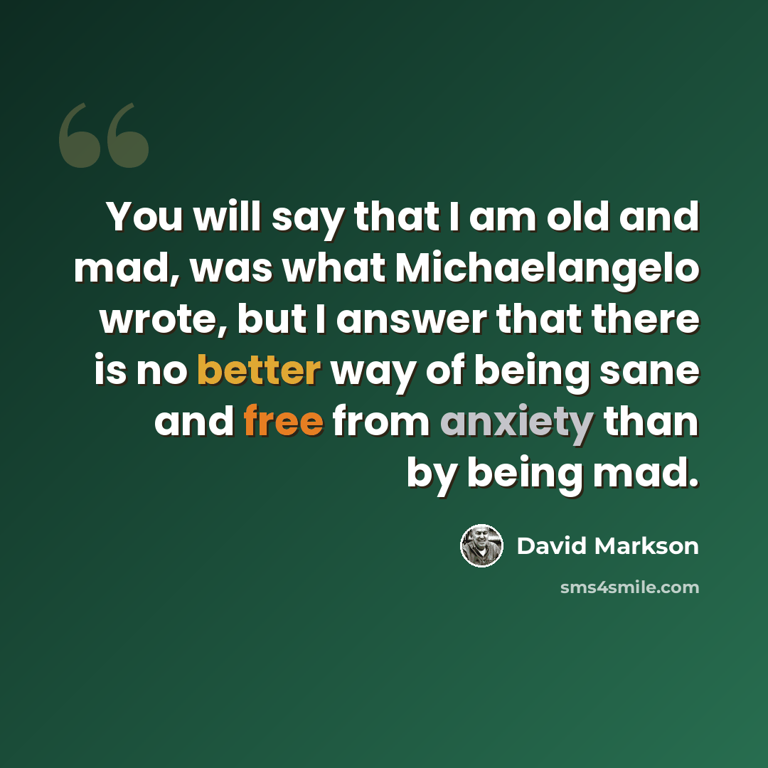 “You will say that I am old and mad, was what Michaelangelo wrote, but I answer that there is no better way of being sane and free from anxiety than by being mad.” quote by David Markson